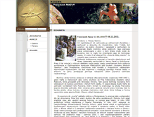 Tablet Screenshot of mazur.mserwer.pl
